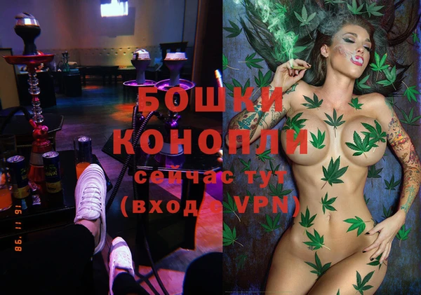 винт Алексин
