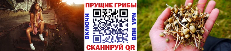 закладка  mega вход  Галлюциногенные грибы GOLDEN TEACHER  Бахчисарай 