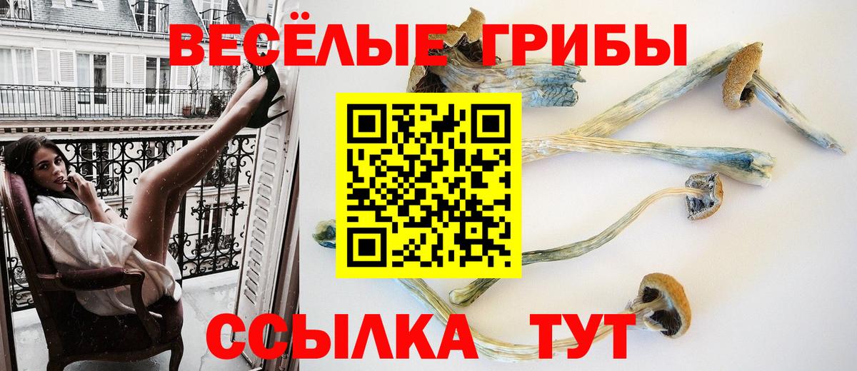 Псилоцибиновые грибы прущие грибы  Вход с VPN  Галлюциногенные грибы Magic Shrooms  Бахчисарай 