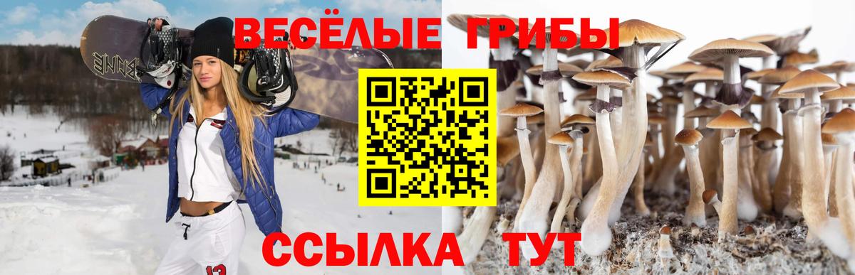 Псилоцибиновые грибы GOLDEN TEACHER Бахчисарай